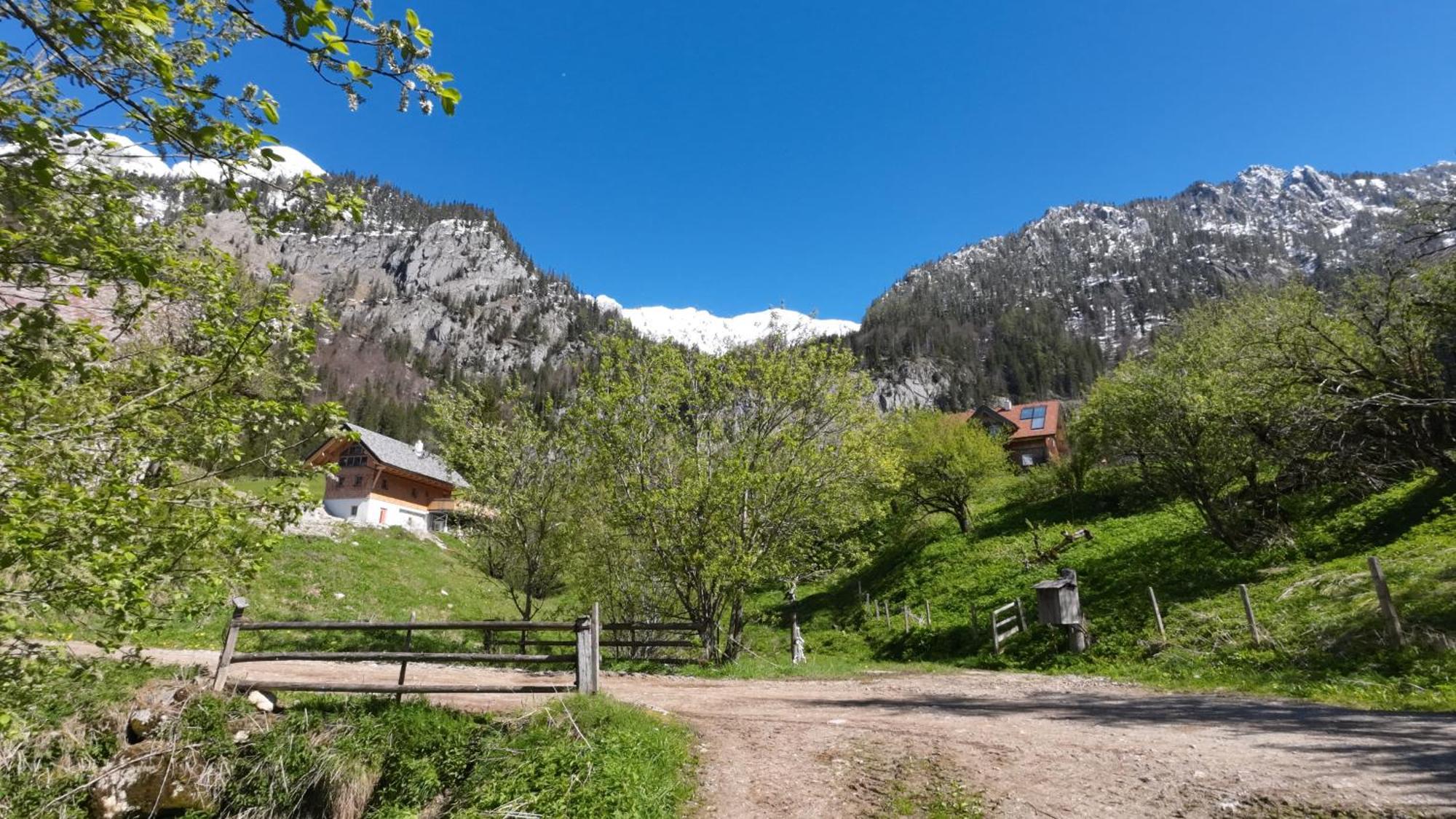 Haus 1683 - Wolfbauer Villa Johnsbach Exterior photo